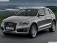 /album/fotogaleria/audi-q5-1-jpg1/